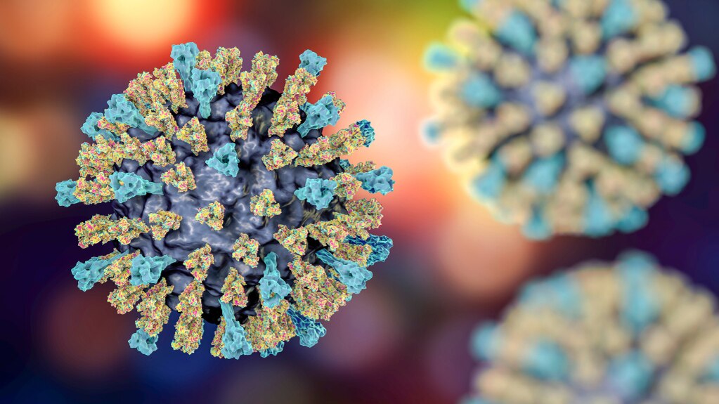 Close-up view of the measles virus under a microscope.