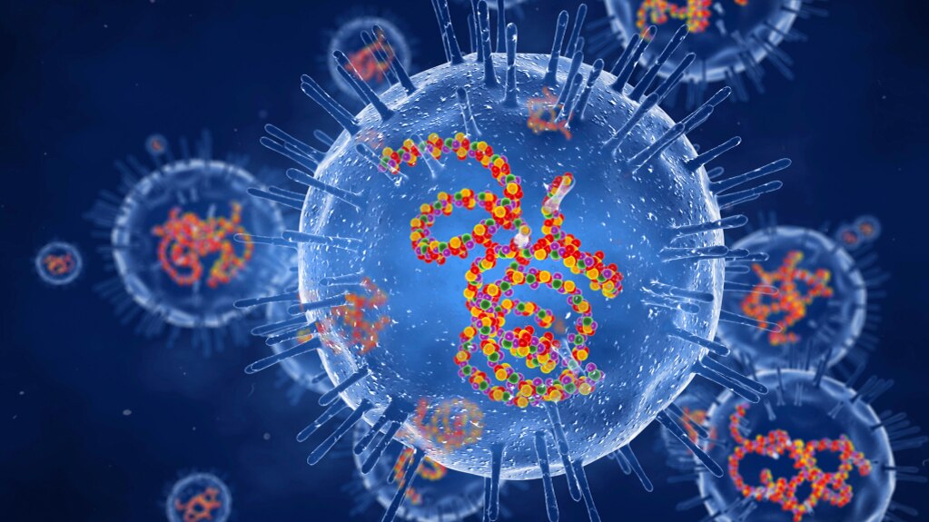 The virus that causes rubella.