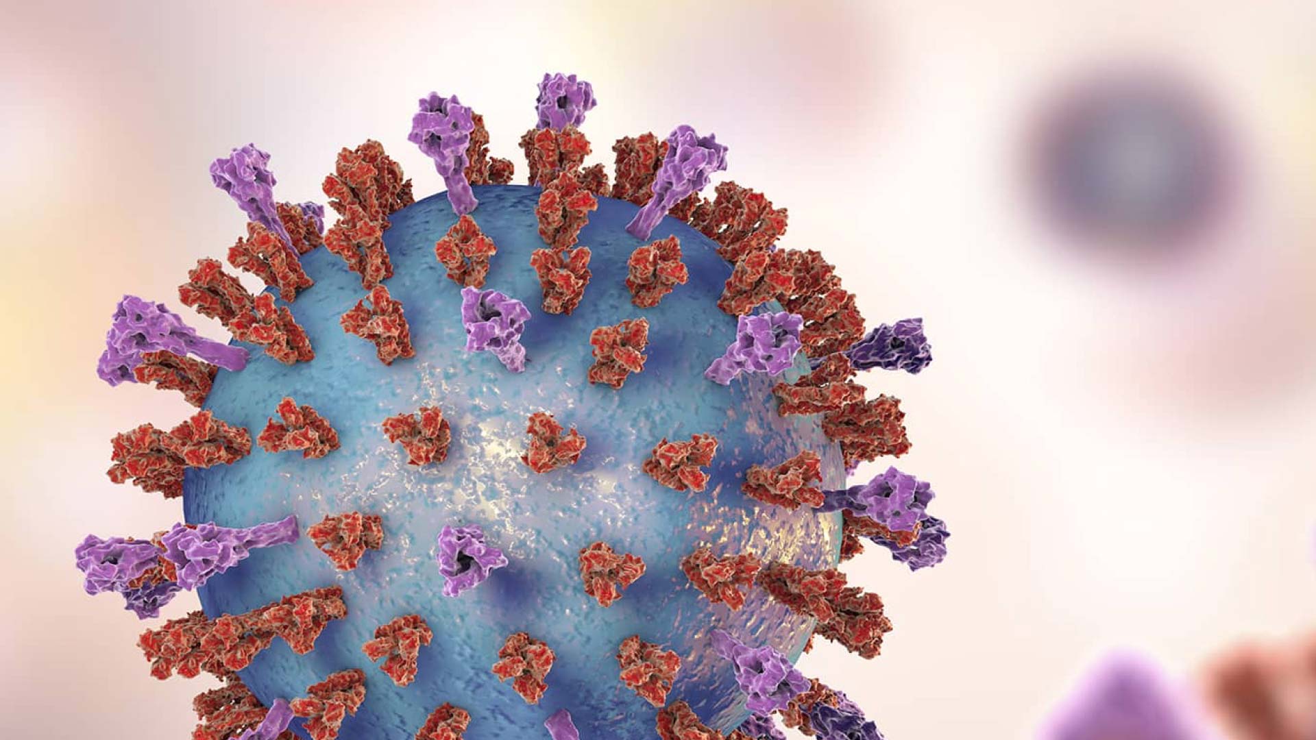 Microscopic image of a RSV virus.